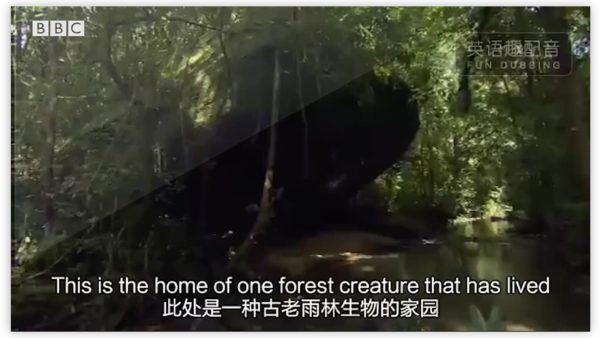 BBC纪录片配音